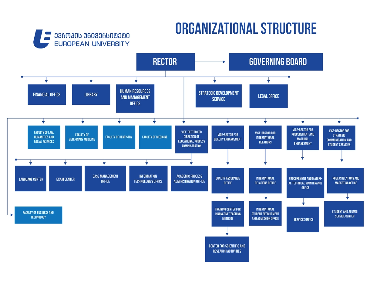 european university organizational structure